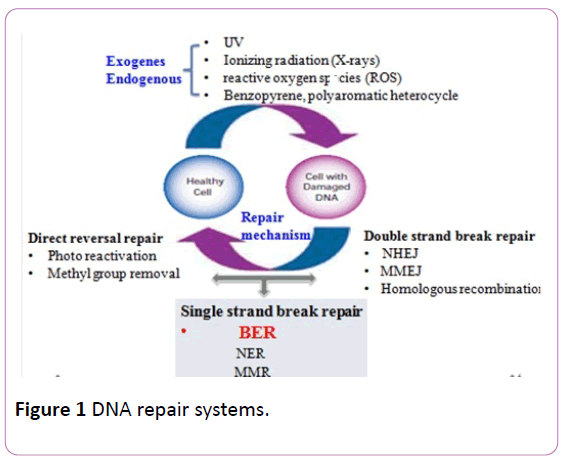 journal of mpe molecular pathological epidemiology imedpub ltd